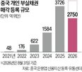 중국,부실채권,올해,연체,은행,추가,정부,대출,최대