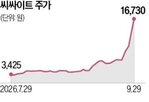 씨싸이트,회장,인수,주가