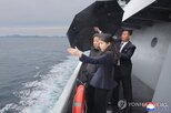 활동,국정원,김정은,분석,보고