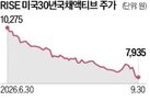 미국,국채,투자자