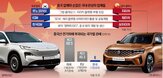 중국,국내,개발,생산,업체,기술,한국,중국산,전기차