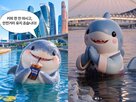 대표,상어,부산