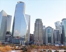 전산사고,증권사,고객,장애,발생,배상