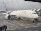 타이항공,운항,해임,태국,방콕,여객기,지난달