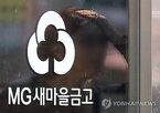 금고,새마을금고,지자체,참여,상호금융,방안,자본비율,요건,제도,기반