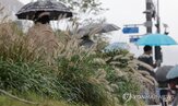 5일,강원북부내륙