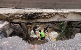 수요,전국,예산,탐사,지반탐사,공동