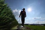 해고,사업주,현장,소장,출근,현장소장,발언
