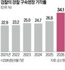 경찰,영장,수사,공소청,검찰,신청,검사,구속영장