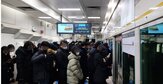 김포,서울,철도,골드라인,거래,사업,가격,아파트,출퇴근,지역