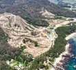 피해,방제,예산,경북,포항,올해,경주,민둥산
