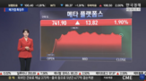 머스크,테라팹,자체,시장,반도체,기업,메타,플랫폼