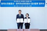 감사,전문성