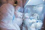 페스트,접촉,확인,러시아,사망,연구원