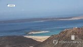 사우디,연합군,반군,지역,주요,예멘,타이즈
