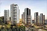 반려동물,전용,공급,세면대,도입