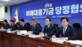 지출,세수,경제학자,가능성,재원,정부,미래대응기금