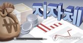 재정,여력,재정안정화계정,지방,자체,지방정부,정부