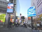 브랜드,아웃도어,명동,매장,제품,소비자,외국인,서울,종로5,상권