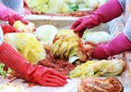 전년,담그기,배추,평년,가격