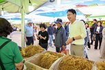 축제,풍기,관광객,풍기인삼,인삼시장,지역,영주시,영주