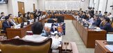 위헌,국회,의원,민주당,각하,청구