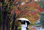기온,아침