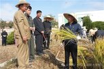 북한,농장,수확,중국대사관,중국
