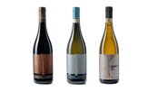 와인,산토리,이탈리아,로쏘,와이너리,페코리노,포도