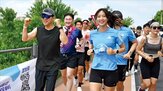 외국인,서울시,한강,관광객,전년,방문객,올해,주변,서대문구