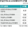 소프트웨어,기업,미국,투자,하락,관련