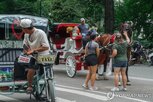 마차,운행,금지,센트럴파크,뉴욕,사고