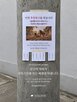 광고,후원,캠페인,제보,사례,아프리카
