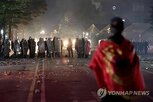 시위,알바니아,일부,플라밍고,대학생,개발