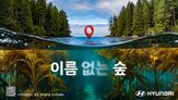 현대차,캠페인