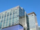 매출,실적,반등,매수,예정