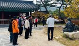 춘천,지역,닭갈비,음식