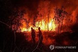 산불,인도네시아,국가재난관리청,혐의,체포,측근,수하리안토