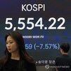 변동성,증시,점검,정부,전망,금융시장,당국