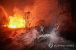 산불,인도네시아,지역