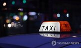 신고,포상금,택시,외국인,관광객,지급,행정처분,부당요금,서울시,신고자
