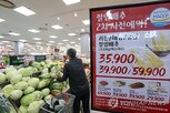 가격,새우젓,배추,지난해,김장,김장철