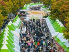 축제,구미,다양,음식,방문객,지역,체험,먹거리