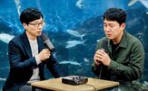 영상,유명인,사칭,처벌,유튜브,채널