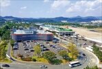 지원,운항,대구공항,노선,항공사,기존
