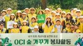 홀딩스