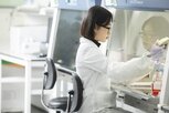 브라질,공급,피스,삼성바이오