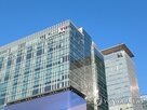 의료,사업,스타트업