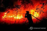 산불,인도네시아,면적,올해,진화,싱가포르,지원,피해,최근