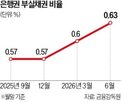 부실채권,경매,은행권,올해,규모